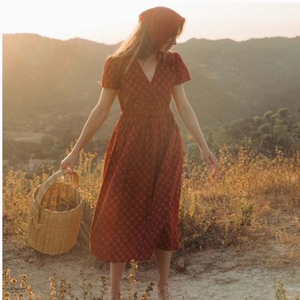 Christy Dawn Dawn Dress in Crimson Daisy Field